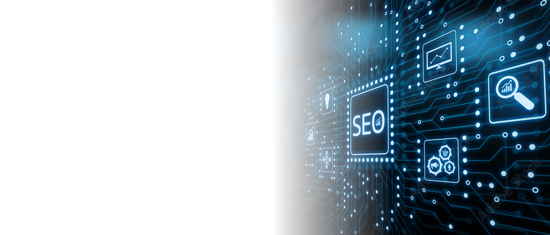 SEO SERVICES